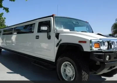 Limo Company