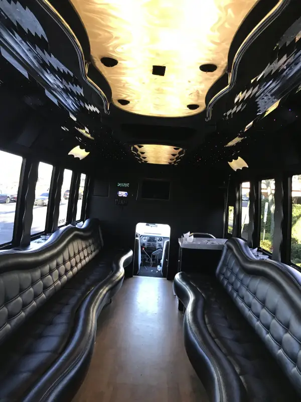 Professional Limousine Company