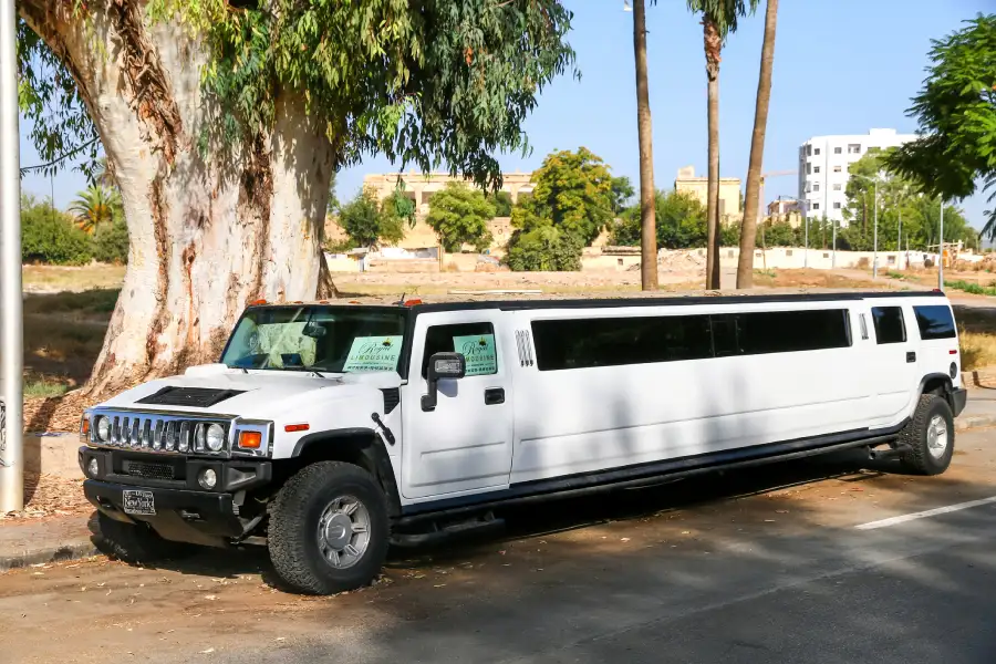 What to Expect from a Limousine Rental Wilton, CT What to Expect from a Limousine Rental Wilton, CT